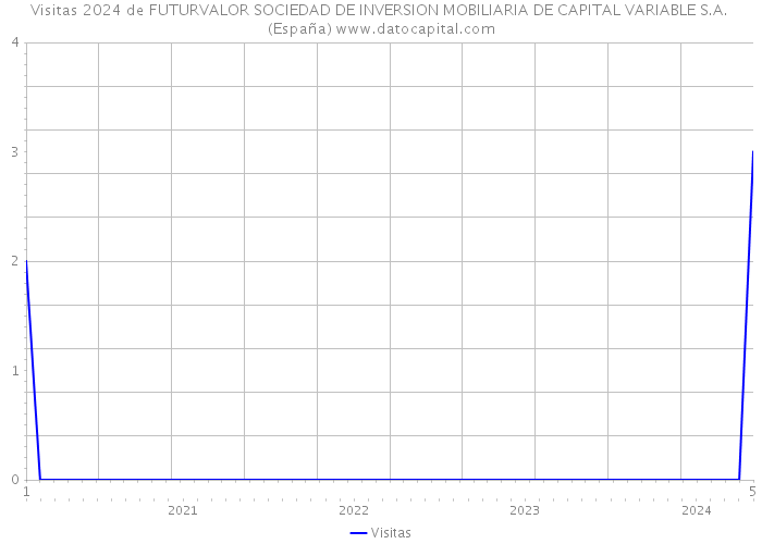 Visitas 2024 de FUTURVALOR SOCIEDAD DE INVERSION MOBILIARIA DE CAPITAL VARIABLE S.A. (España) 