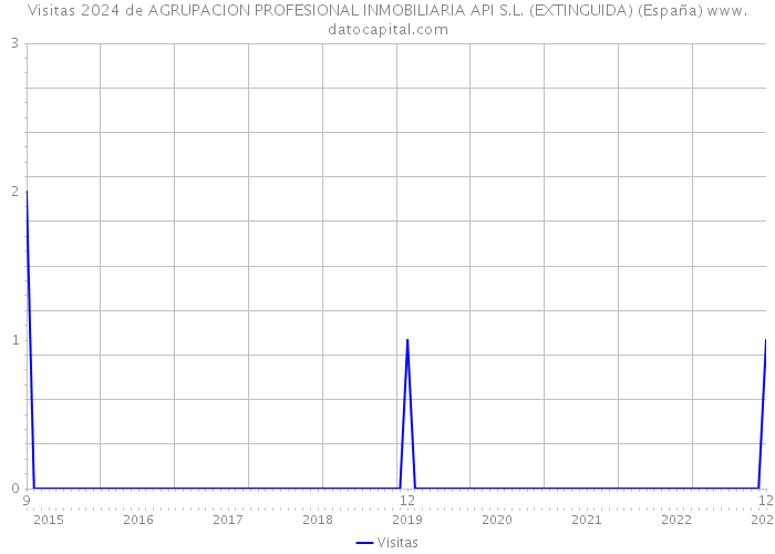 Visitas 2024 de AGRUPACION PROFESIONAL INMOBILIARIA API S.L. (EXTINGUIDA) (España) 