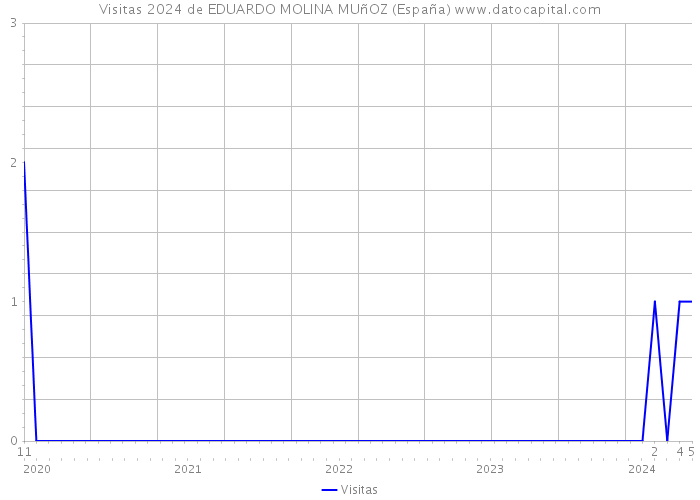 Visitas 2024 de EDUARDO MOLINA MUñOZ (España) 