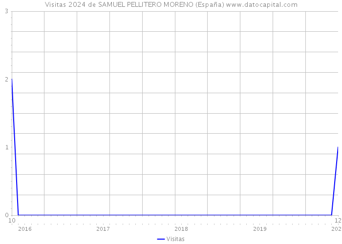 Visitas 2024 de SAMUEL PELLITERO MORENO (España) 