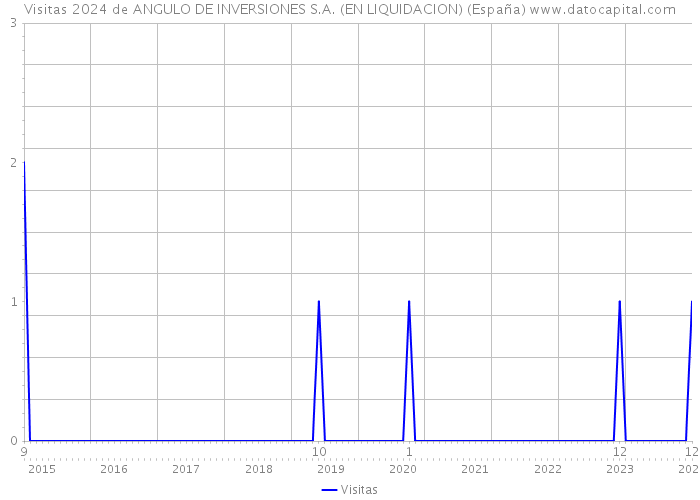 Visitas 2024 de ANGULO DE INVERSIONES S.A. (EN LIQUIDACION) (España) 