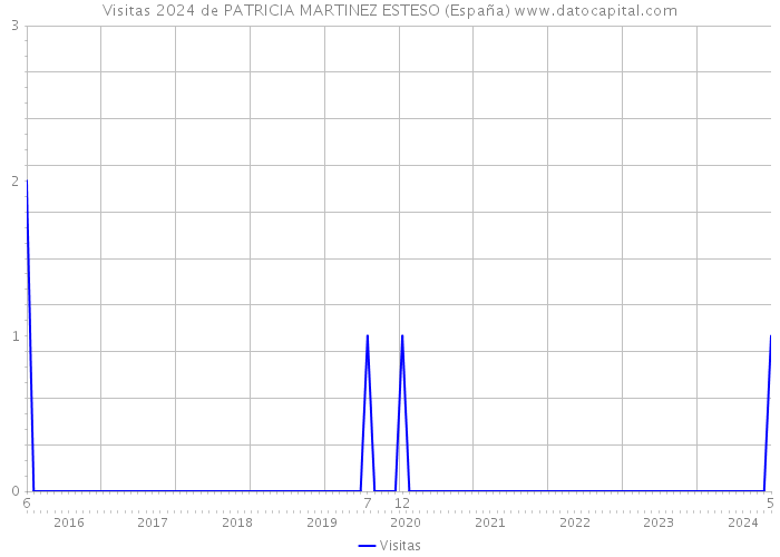 Visitas 2024 de PATRICIA MARTINEZ ESTESO (España) 