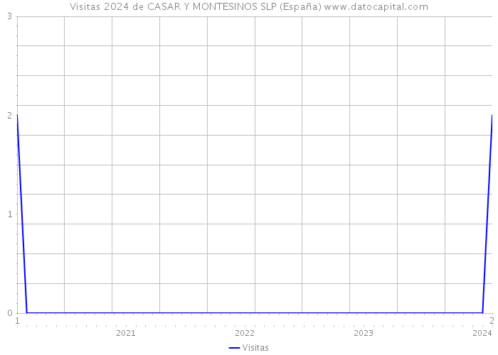 Visitas 2024 de CASAR Y MONTESINOS SLP (España) 