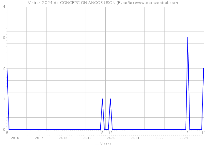 Visitas 2024 de CONCEPCION ANGOS USON (España) 