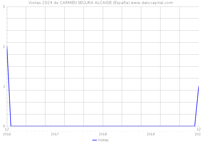 Visitas 2024 de CARMEN SEGURA ALCAIDE (España) 