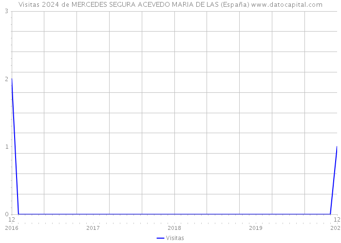 Visitas 2024 de MERCEDES SEGURA ACEVEDO MARIA DE LAS (España) 