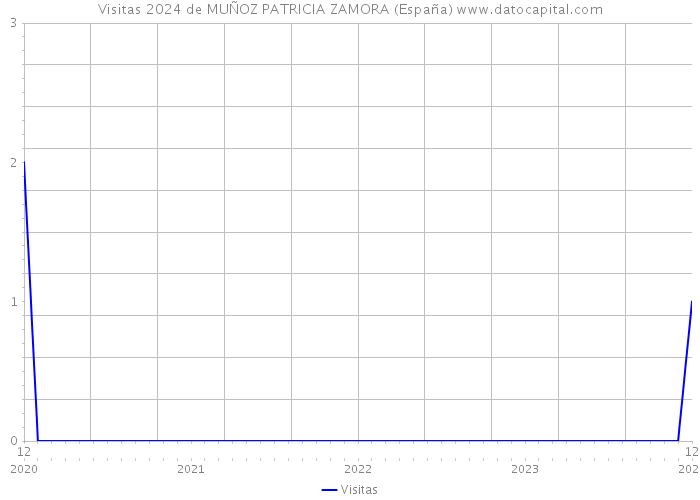Visitas 2024 de MUÑOZ PATRICIA ZAMORA (España) 