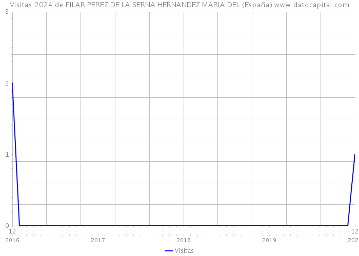 Visitas 2024 de PILAR PEREZ DE LA SERNA HERNANDEZ MARIA DEL (España) 