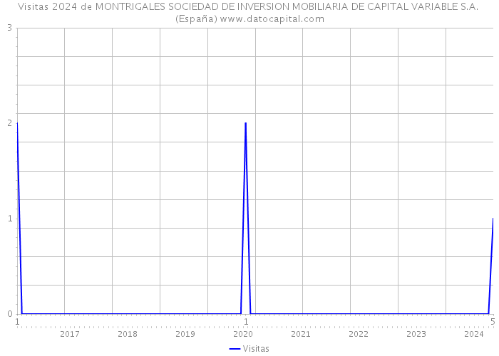 Visitas 2024 de MONTRIGALES SOCIEDAD DE INVERSION MOBILIARIA DE CAPITAL VARIABLE S.A. (España) 