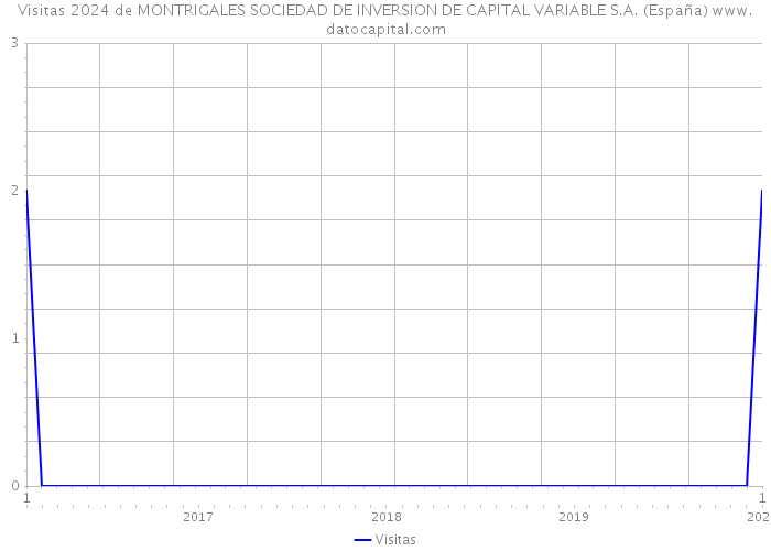 Visitas 2024 de MONTRIGALES SOCIEDAD DE INVERSION DE CAPITAL VARIABLE S.A. (España) 