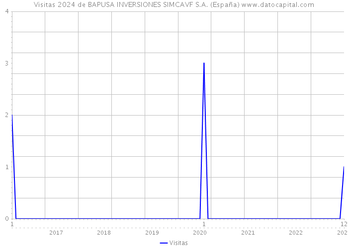 Visitas 2024 de BAPUSA INVERSIONES SIMCAVF S.A. (España) 