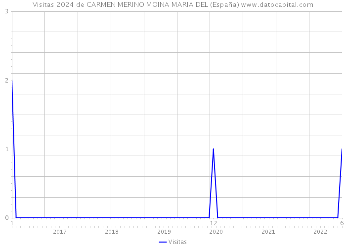 Visitas 2024 de CARMEN MERINO MOINA MARIA DEL (España) 