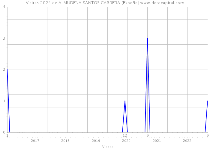 Visitas 2024 de ALMUDENA SANTOS CARRERA (España) 
