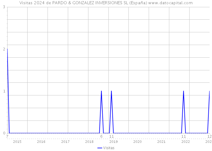 Visitas 2024 de PARDO & GONZALEZ INVERSIONES SL (España) 