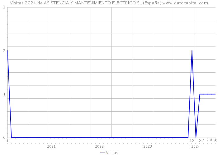 Visitas 2024 de ASISTENCIA Y MANTENIMIENTO ELECTRICO SL (España) 