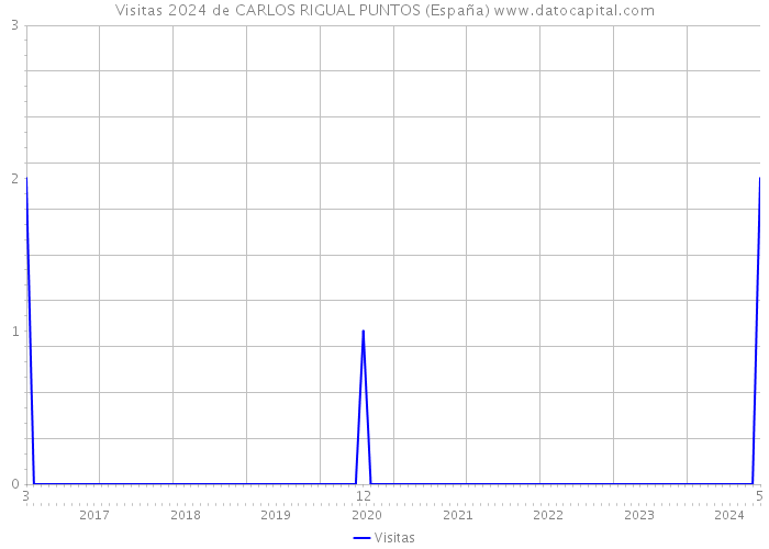 Visitas 2024 de CARLOS RIGUAL PUNTOS (España) 