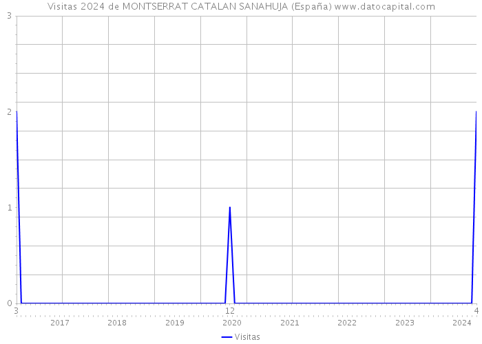Visitas 2024 de MONTSERRAT CATALAN SANAHUJA (España) 