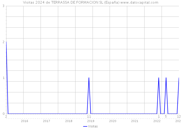 Visitas 2024 de TERRASSA DE FORMACION SL (España) 