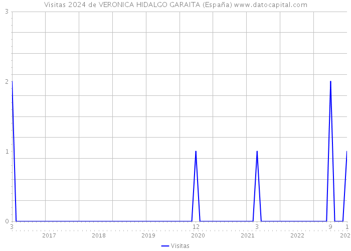 Visitas 2024 de VERONICA HIDALGO GARAITA (España) 