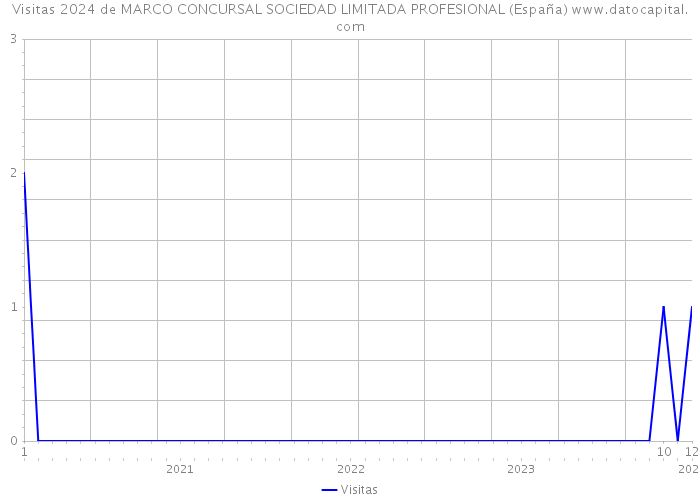 Visitas 2024 de MARCO CONCURSAL SOCIEDAD LIMITADA PROFESIONAL (España) 