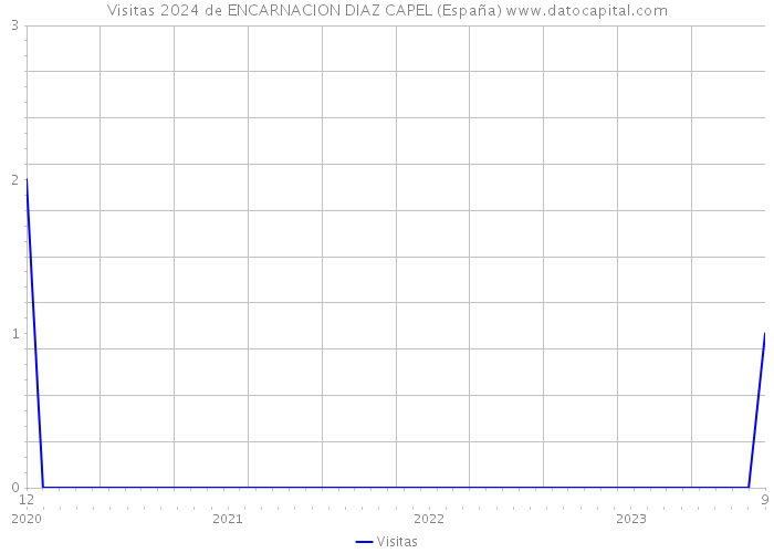 Visitas 2024 de ENCARNACION DIAZ CAPEL (España) 