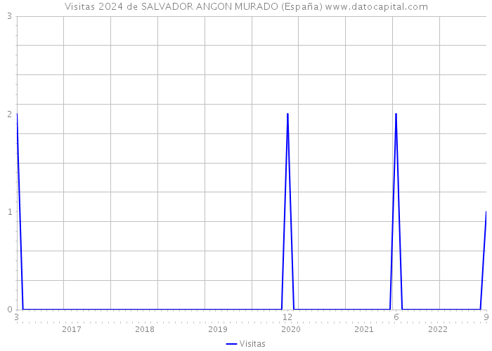 Visitas 2024 de SALVADOR ANGON MURADO (España) 