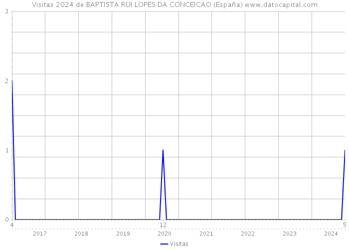 Visitas 2024 de BAPTISTA RUI LOPES DA CONCEICAO (España) 