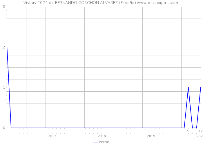 Visitas 2024 de FERNANDO CORCHON ALVAREZ (España) 
