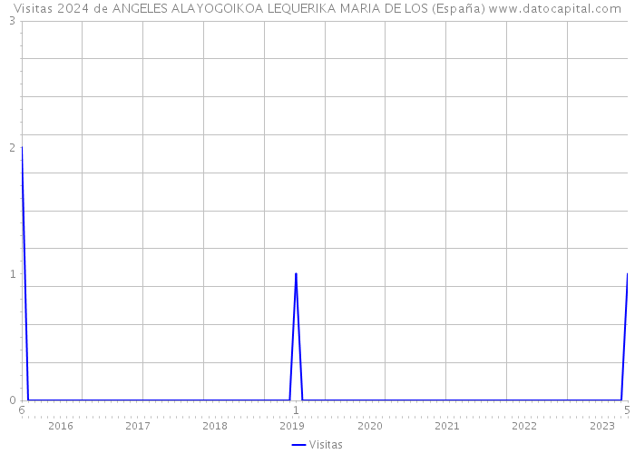 Visitas 2024 de ANGELES ALAYOGOIKOA LEQUERIKA MARIA DE LOS (España) 