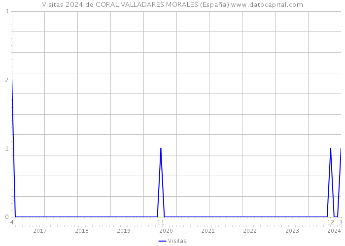 Visitas 2024 de CORAL VALLADARES MORALES (España) 