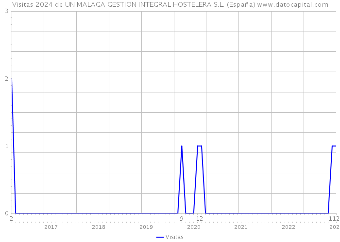 Visitas 2024 de UN MALAGA GESTION INTEGRAL HOSTELERA S.L. (España) 