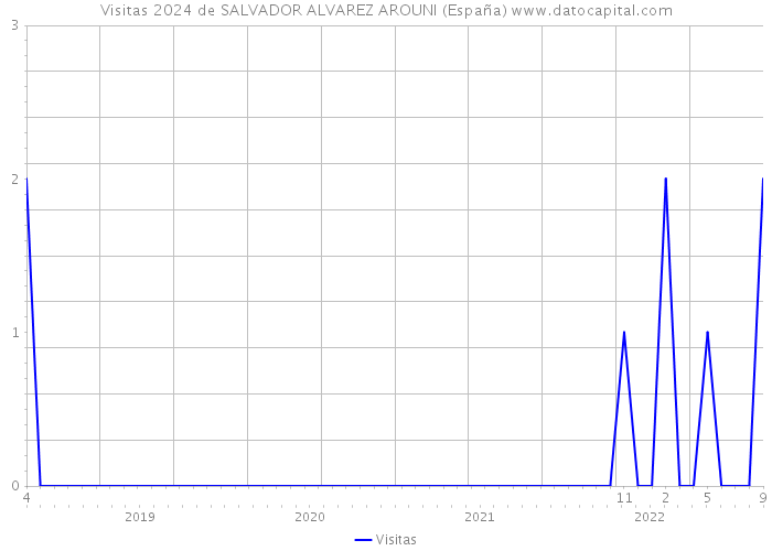 Visitas 2024 de SALVADOR ALVAREZ AROUNI (España) 