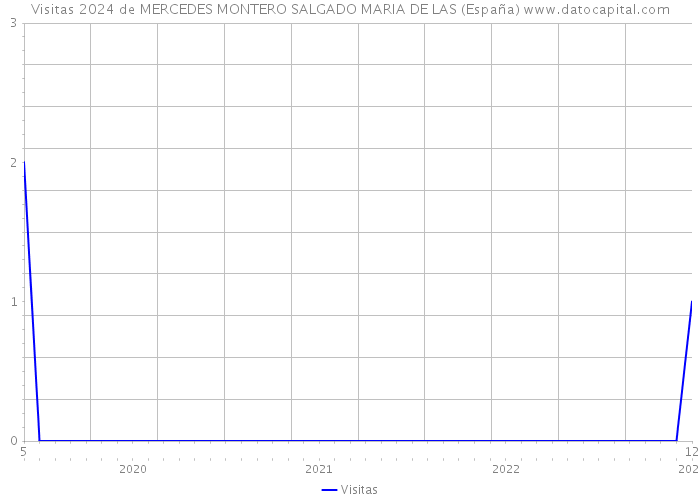 Visitas 2024 de MERCEDES MONTERO SALGADO MARIA DE LAS (España) 
