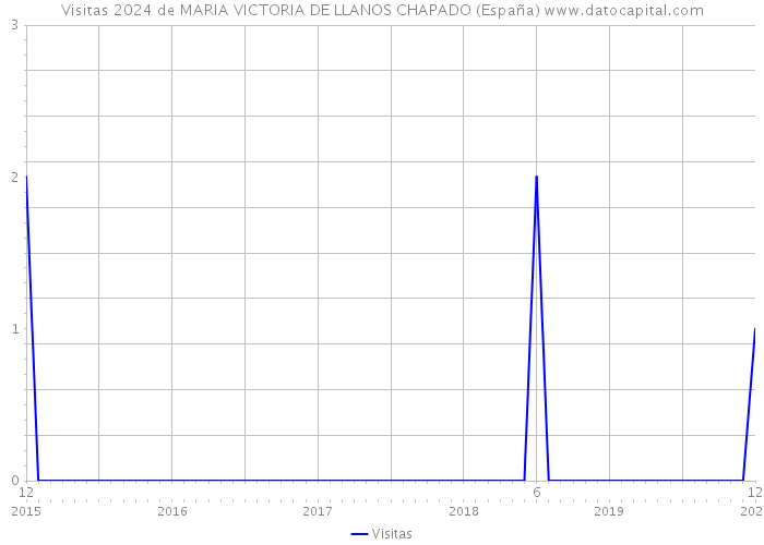Visitas 2024 de MARIA VICTORIA DE LLANOS CHAPADO (España) 