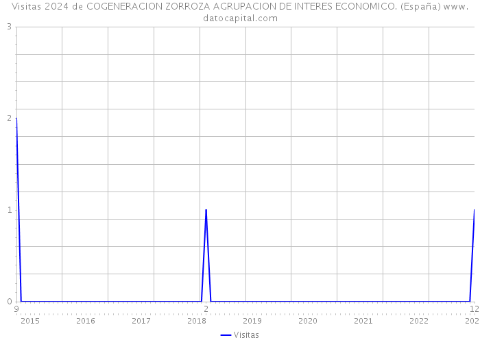 Visitas 2024 de COGENERACION ZORROZA AGRUPACION DE INTERES ECONOMICO. (España) 