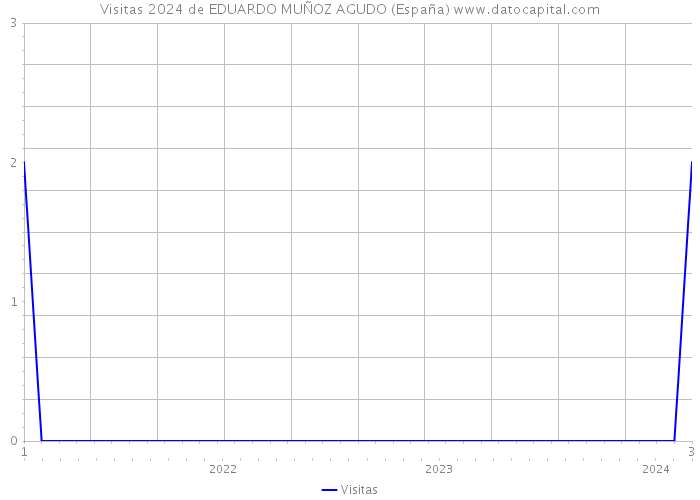 Visitas 2024 de EDUARDO MUÑOZ AGUDO (España) 