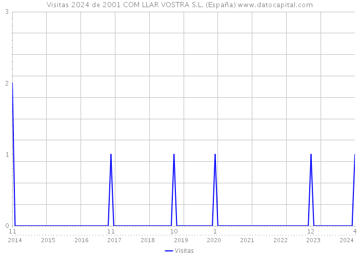 Visitas 2024 de 2001 COM LLAR VOSTRA S.L. (España) 