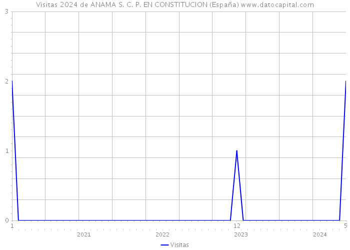 Visitas 2024 de ANAMA S. C. P. EN CONSTITUCION (España) 