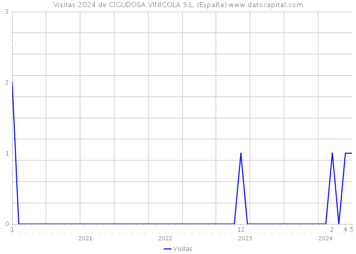 Visitas 2024 de CIGUDOSA VINICOLA S.L. (España) 