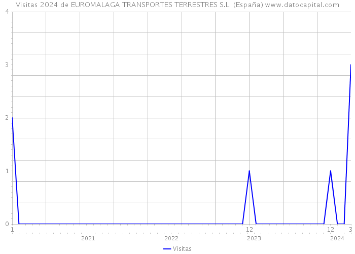 Visitas 2024 de EUROMALAGA TRANSPORTES TERRESTRES S.L. (España) 