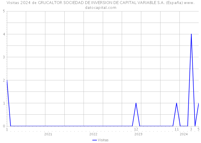 Visitas 2024 de GRUCALTOR SOCIEDAD DE INVERSION DE CAPITAL VARIABLE S.A. (España) 
