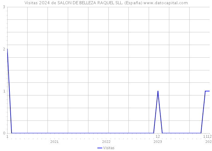Visitas 2024 de SALON DE BELLEZA RAQUEL SLL. (España) 