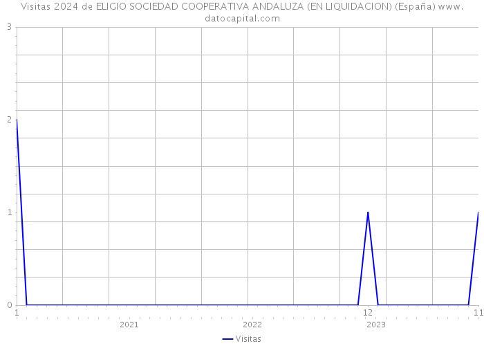 Visitas 2024 de ELIGIO SOCIEDAD COOPERATIVA ANDALUZA (EN LIQUIDACION) (España) 