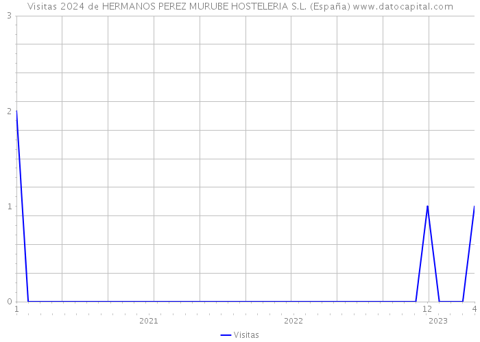 Visitas 2024 de HERMANOS PEREZ MURUBE HOSTELERIA S.L. (España) 