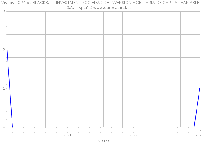 Visitas 2024 de BLACKBULL INVESTMENT SOCIEDAD DE INVERSION MOBILIARIA DE CAPITAL VARIABLE S.A. (España) 
