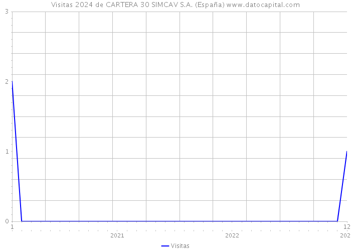 Visitas 2024 de CARTERA 30 SIMCAV S.A. (España) 