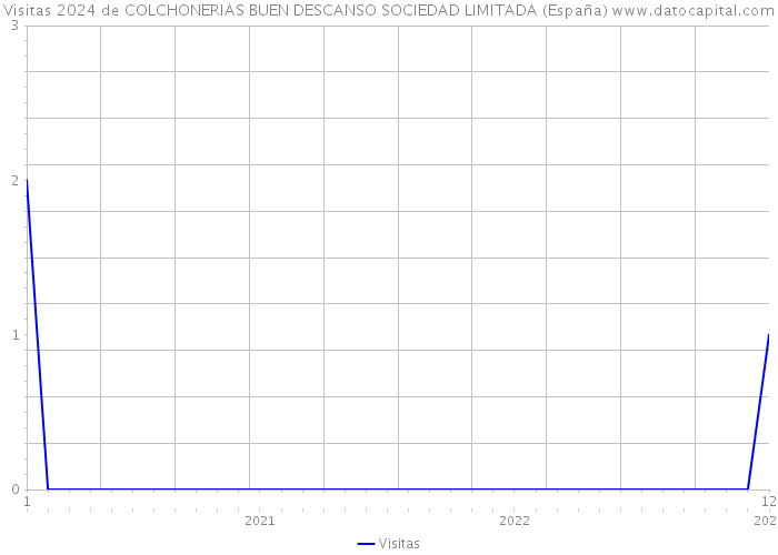 Visitas 2024 de COLCHONERIAS BUEN DESCANSO SOCIEDAD LIMITADA (España) 