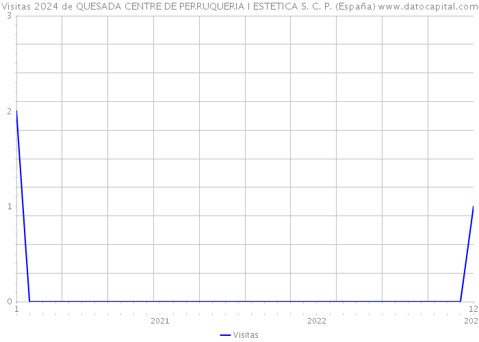 Visitas 2024 de QUESADA CENTRE DE PERRUQUERIA I ESTETICA S. C. P. (España) 