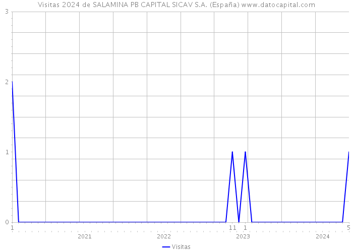 Visitas 2024 de SALAMINA PB CAPITAL SICAV S.A. (España) 