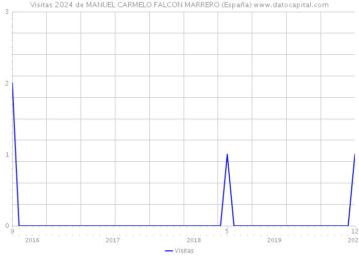Visitas 2024 de MANUEL CARMELO FALCON MARRERO (España) 
